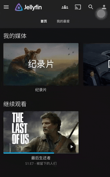 Jellyfin 手机客户端示意
